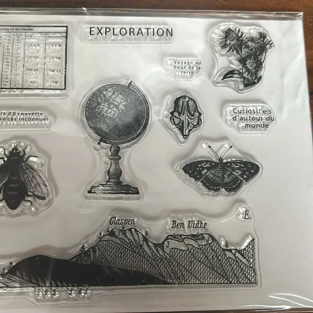 CoraCreaCrafts clear stamps exploring motive NEW